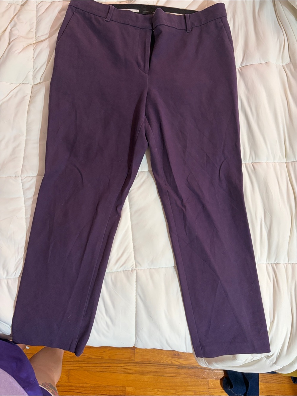 Ann Taylor Plum Straight-Leg Ponte Trousers